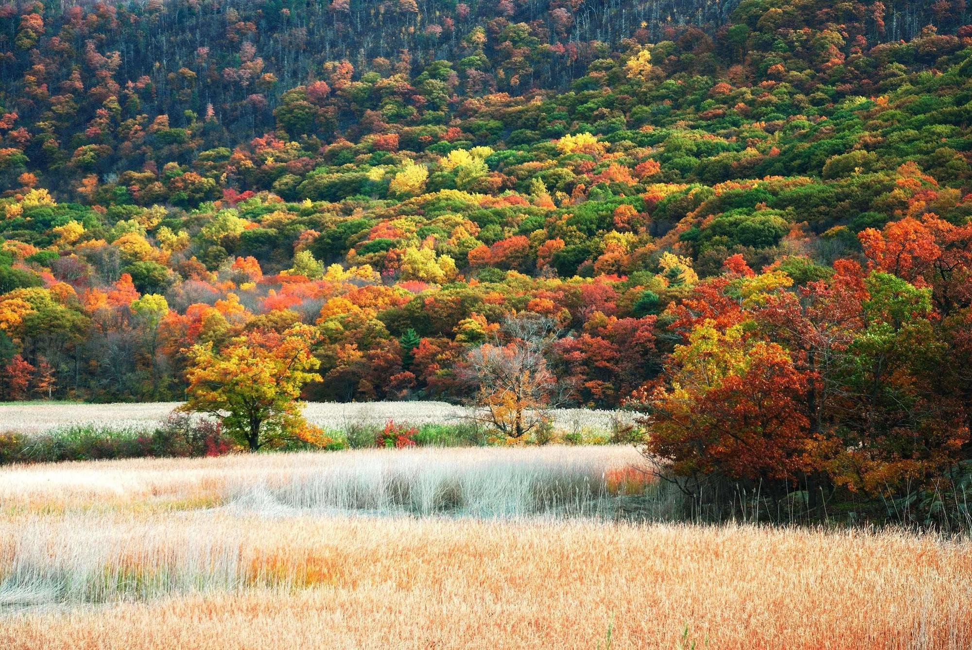 Hyatt House Fishkill-Poughkeepsie Hotel Bagian luar foto